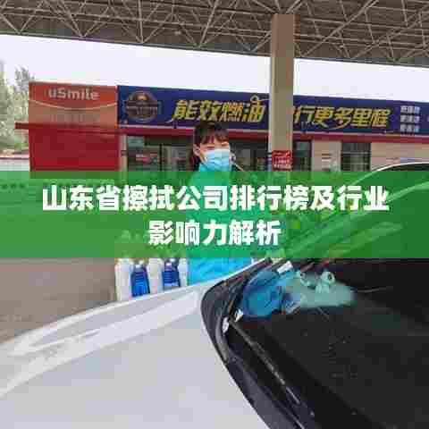 山东省擦拭公司排行榜及行业影响力解析