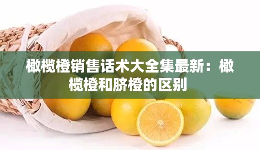橄榄橙销售话术大全集最新：橄榄橙和脐橙的区别 