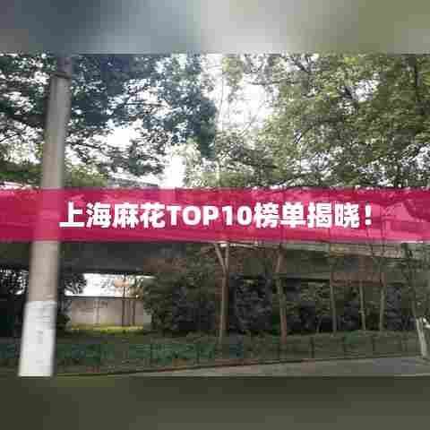 上海麻花TOP10榜单揭晓!