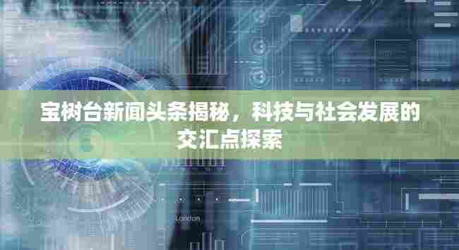 宝树台新闻头条揭秘,科技与社会发展的交汇点探索