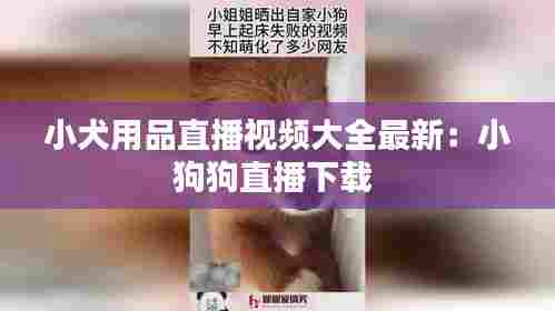 小犬用品直播视频大全最新:小狗狗直播下载