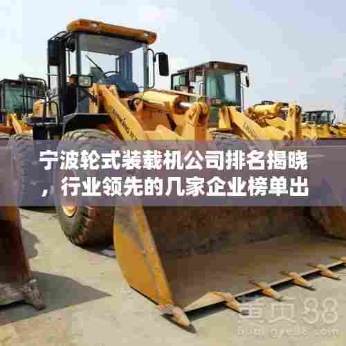 林下风范 第4页