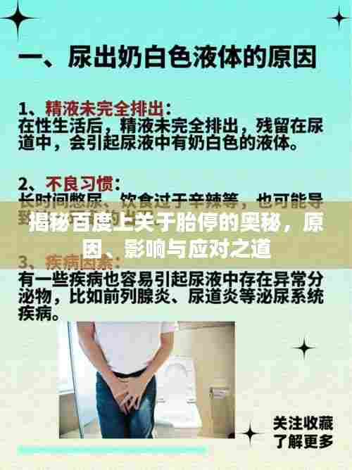 揭秘百度上关于胎停的奥秘,原因、影响与应对之道