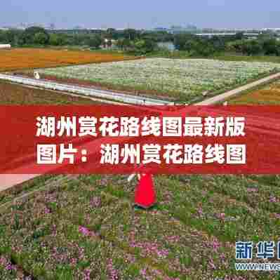 湖州赏花路线图最新版图片:湖州赏花路线图最新版图片下载