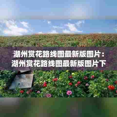 湖州赏花路线图最新版图片:湖州赏花路线图最新版图片下载