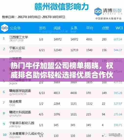 热门牛仔加盟公司榜单揭晓,权威排名助你轻松选择优质合作伙伴!