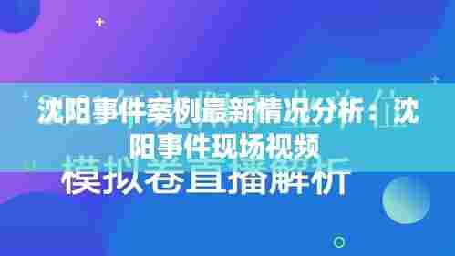 沈阳事件案例最新情况分析:沈阳事件现场视频
