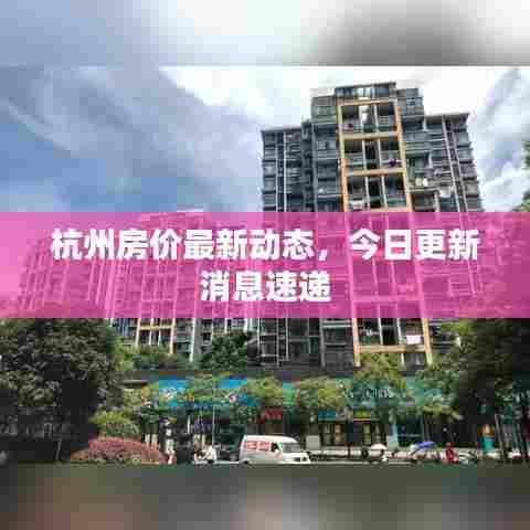 杭州房价最新动态,今日更新消息速递