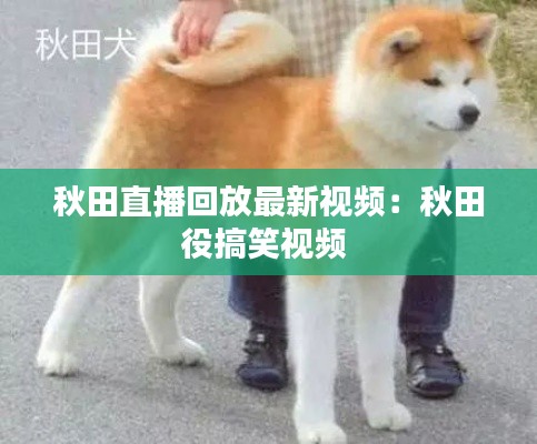 秋田直播回放最新视频:秋田役搞笑视频