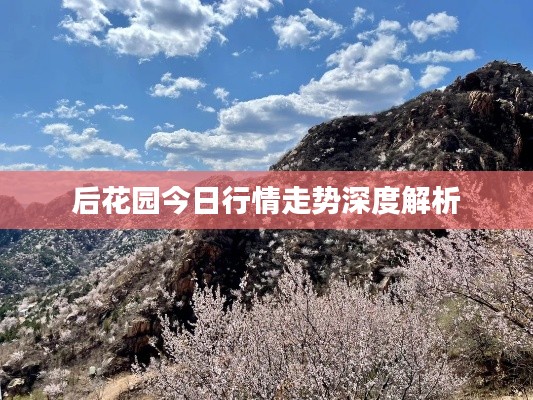 后花园今日行情走势深度解析