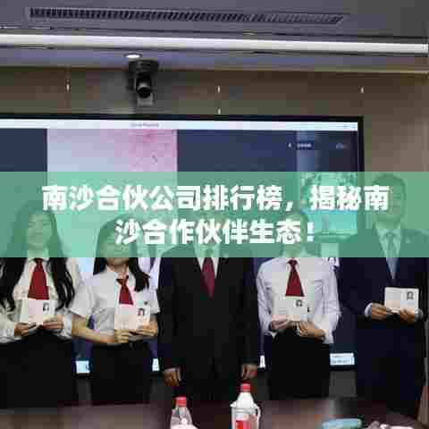 南沙合伙公司排行榜，揭秘南沙合作伙伴生态！