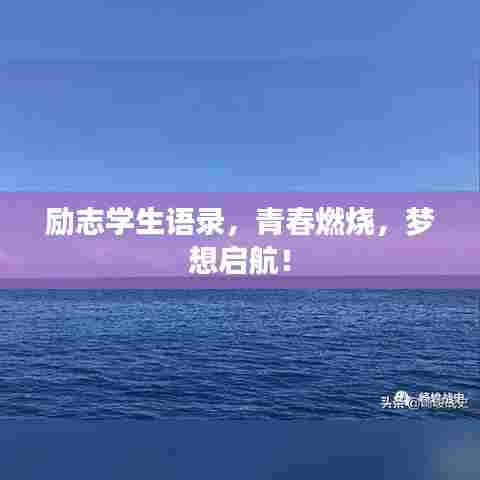 张弛不定 第4页