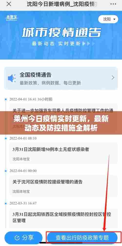 莱州今日疫情实时更新,最新动态及防控措施全解析