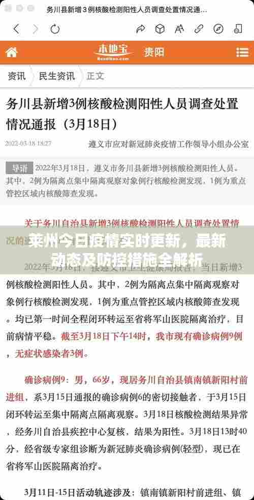 莱州今日疫情实时更新,最新动态及防控措施全解析