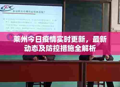 莱州今日疫情实时更新,最新动态及防控措施全解析