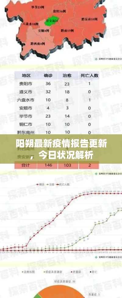 阳朔最新疫情报告更新,今日状况解析