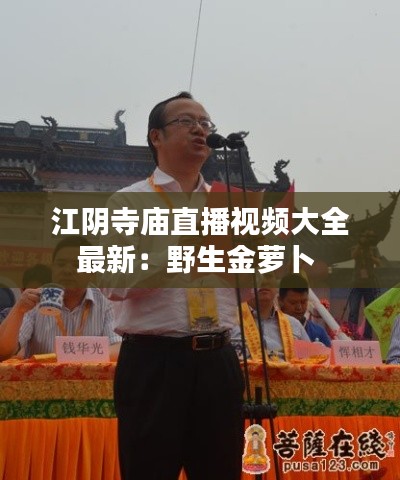 推襟送抱 第4页