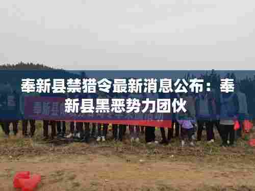 奉新县禁猎令最新消息公布：奉新县黑恶势力团伙 