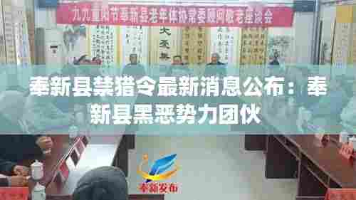 奉新县禁猎令最新消息公布:奉新县黑恶势力团伙