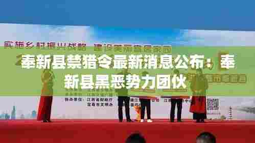 奉新县禁猎令最新消息公布:奉新县黑恶势力团伙