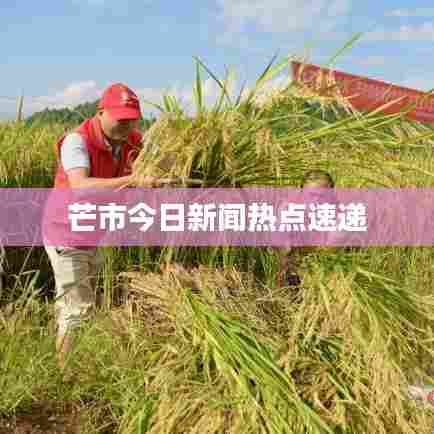 芒市今日新闻热点速递