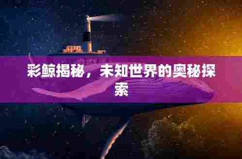 彩鲸揭秘，未知世界的奥秘探索
