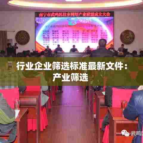 行业企业筛选标准最新文件:产业筛选