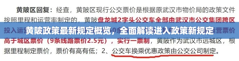 黄陂政策最新规定概览,全面解读进入政策新规定