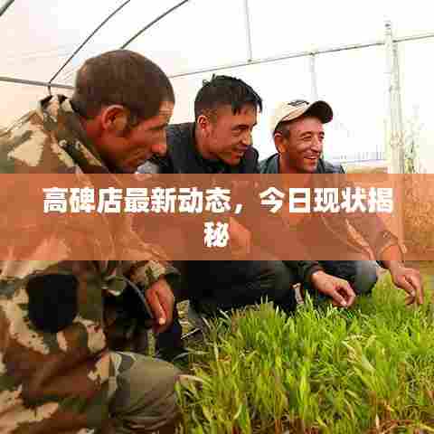 高碑店最新动态,今日现状揭秘