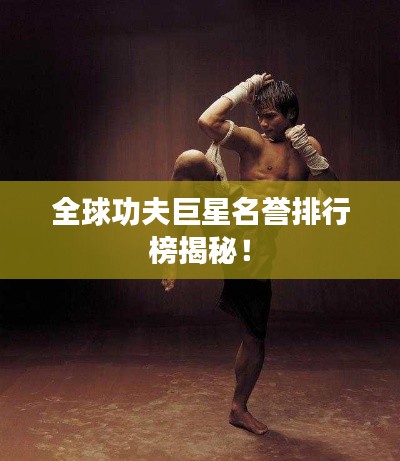 全球功夫巨星名誉排行榜揭秘!