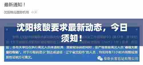 沈阳核酸要求最新动态，今日须知！