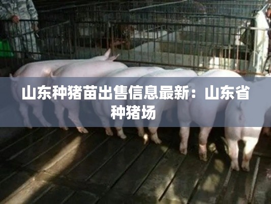山东种猪苗出售信息最新:山东省种猪场