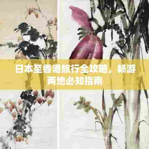 日本至香港旅行全攻略,畅游两地必知指南