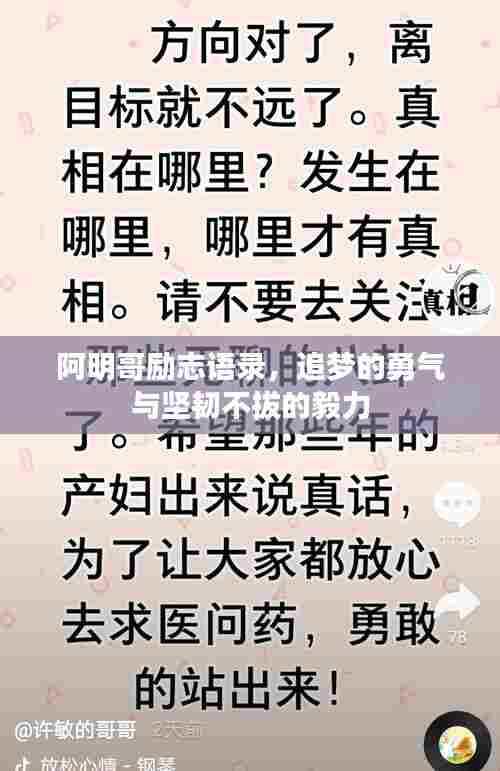 阿明哥励志语录,追梦的勇气与坚韧不拔的毅力