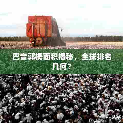 巴音郭楞面积揭秘,全球排名几何?