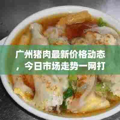 广州猪肉最新价格动态，今日市场走势一网打尽