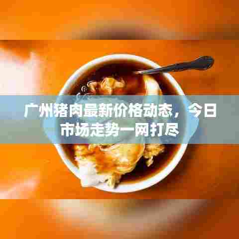 广州猪肉最新价格动态,今日市场走势一网打尽