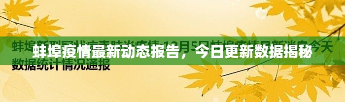 蚌埠疫情最新动态报告，今日更新数据揭秘