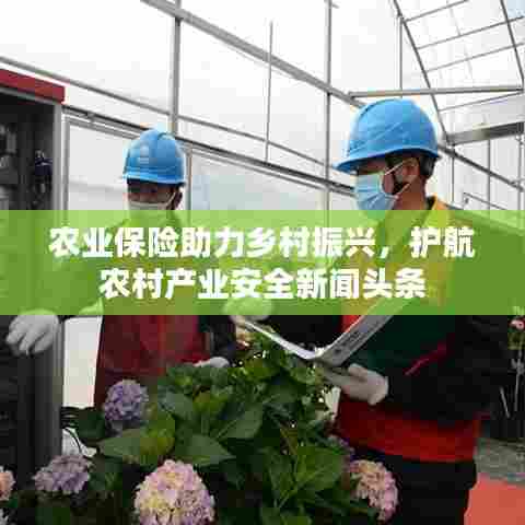 貌美如花 第4页