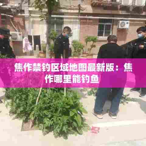 坌鸟先飞 第4页