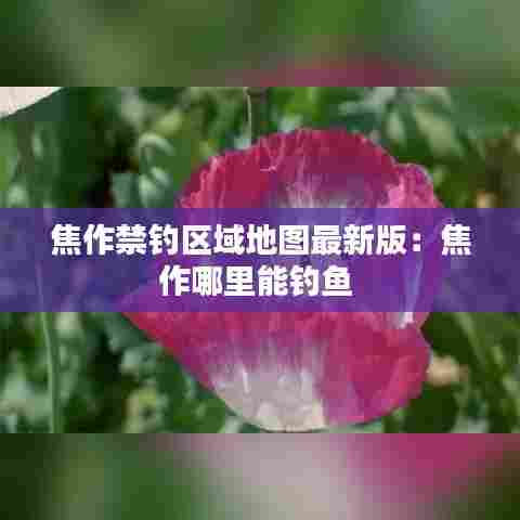 焦作禁钓区域地图最新版:焦作哪里能钓鱼