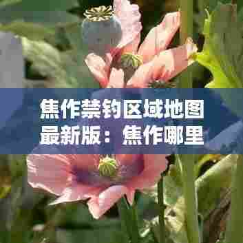 焦作禁钓区域地图最新版:焦作哪里能钓鱼