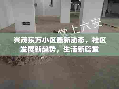 惨淡经营 第3页