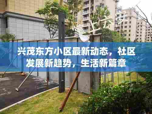 兴茂东方小区最新动态,社区发展新趋势,生活新篇章