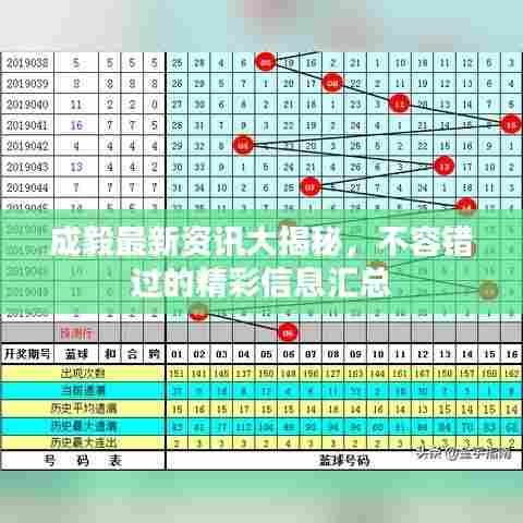 百鸟齐鸣 第3页