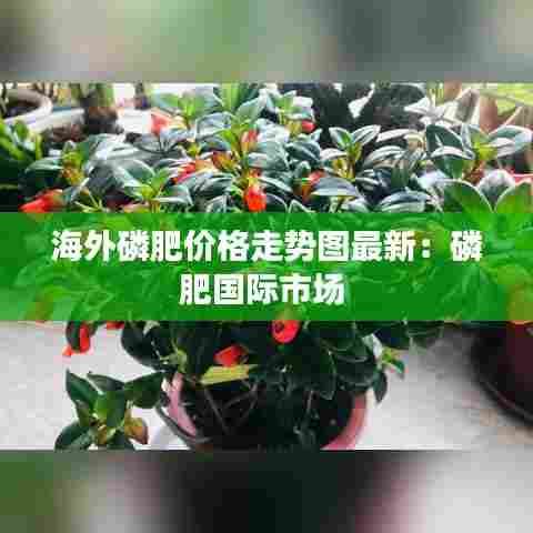 海外磷肥价格走势图最新：磷肥国际市场 