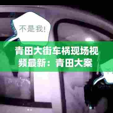 青田大街车祸现场视频最新:青田大案