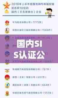 国内SIS认证公司排名揭晓，行业影响力与权威排名一览