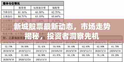 新城股票最新动态,市场走势揭秘,投资者洞察先机
