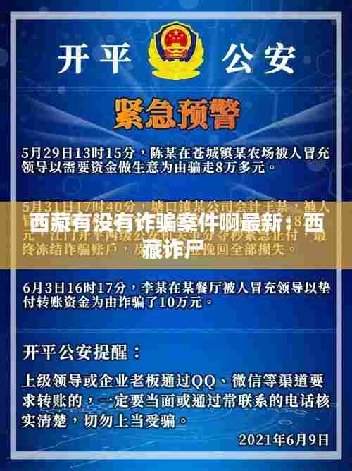 西藏有没有诈骗案件啊最新：西藏诈尸 